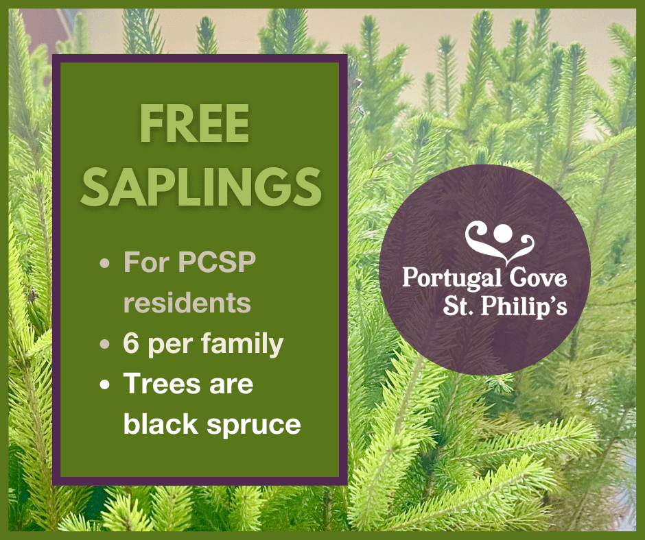 PCSPnl's tweet photo. 🌲 Beginning tomorrow we will have FREE black spruce seedlings available at the Town Office for PCSP residents! 🌲

From Monday, Aug. 8th to Friday, Aug. 12th, residents can visit the Town Office from 8:30am-4pm to pick up six free seedlings per family.

https://t.co/0FljozgexE https://t.co/mzPUcN0OK1