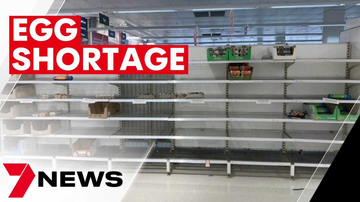 7NewsAustralia's tweet photo. There is an egg limit at major supermarkets due to a chronic shortage of free range eggs in Australia. The limited supply has increased the price at local cafés as farmers continue to battle with rising inflation. 7NEWS at 6pm | https://t.co/o8PFBFnlo6 @_kathleenoco #7NEWS https://t.co/RvhKHIxfua