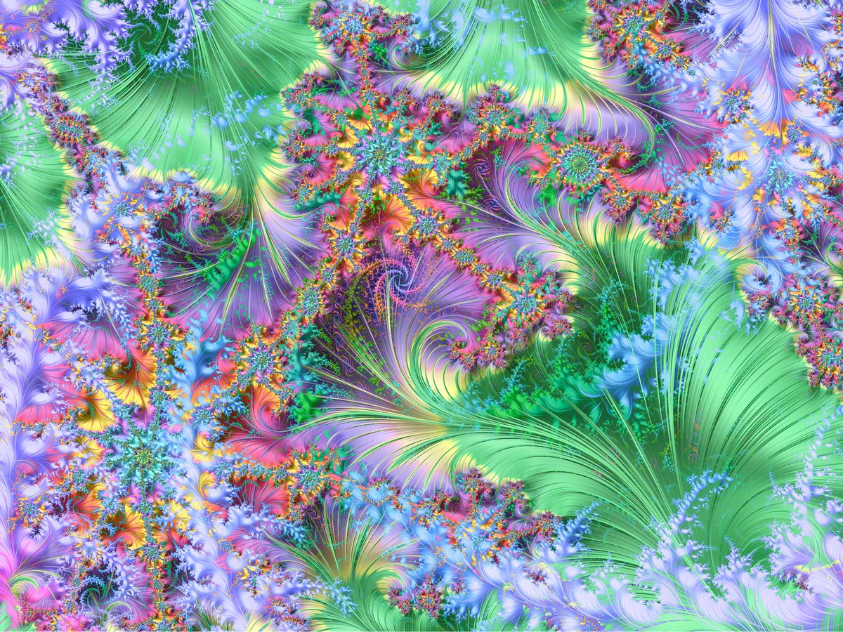 Goooooooooood morrrrnnning!!! ☀️🐸