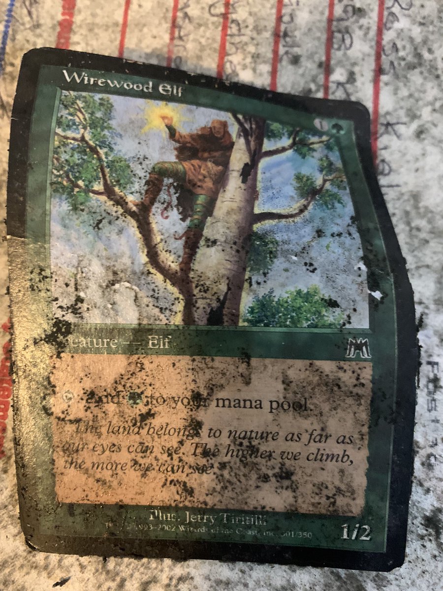 Mould: The Gathering. 

A 20 year collection.