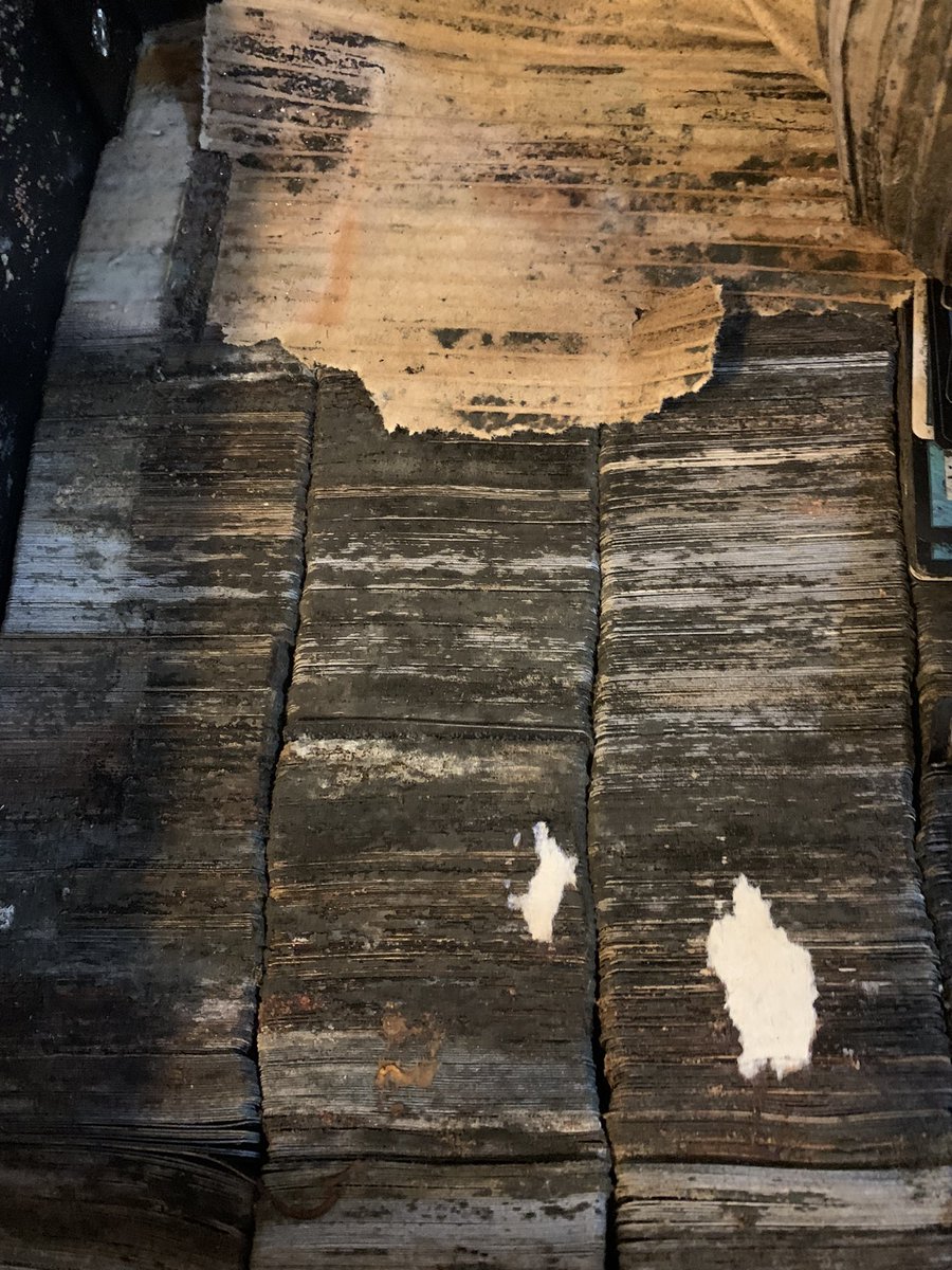 FuchsiaBriefs's tweet photo. Mould: The Gathering. 

A 20 year collection. https://t.co/VXY0mC4jld