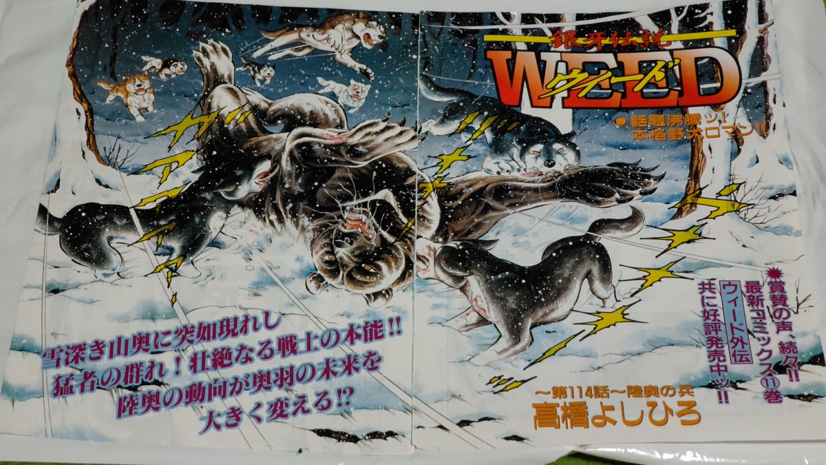 銀牙伝説WEEDの巻頭カラー🙂 奥羽の危機を伝えに、時雨が陸奥に
