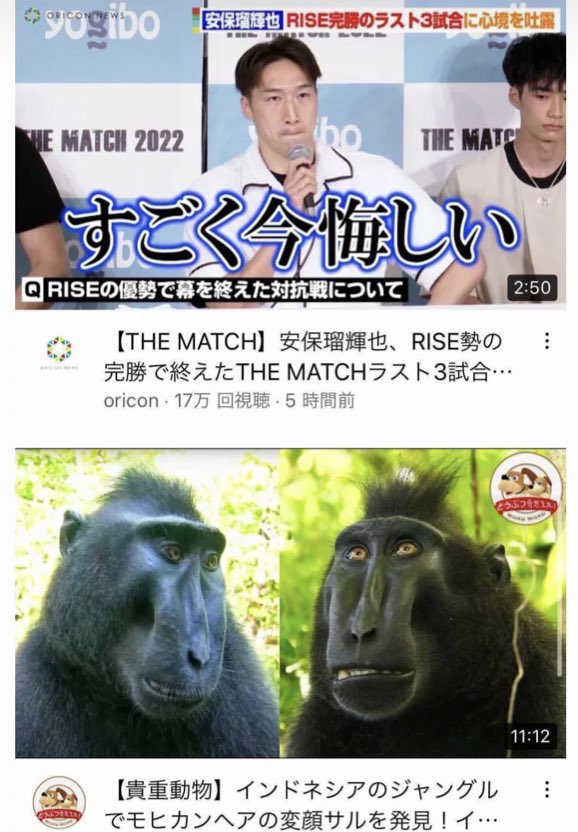 平本蓮 Ren Hiramoto 24 インドネシアの変顔サルには勝てへんわ T Co Yjxhjehgou Twitter