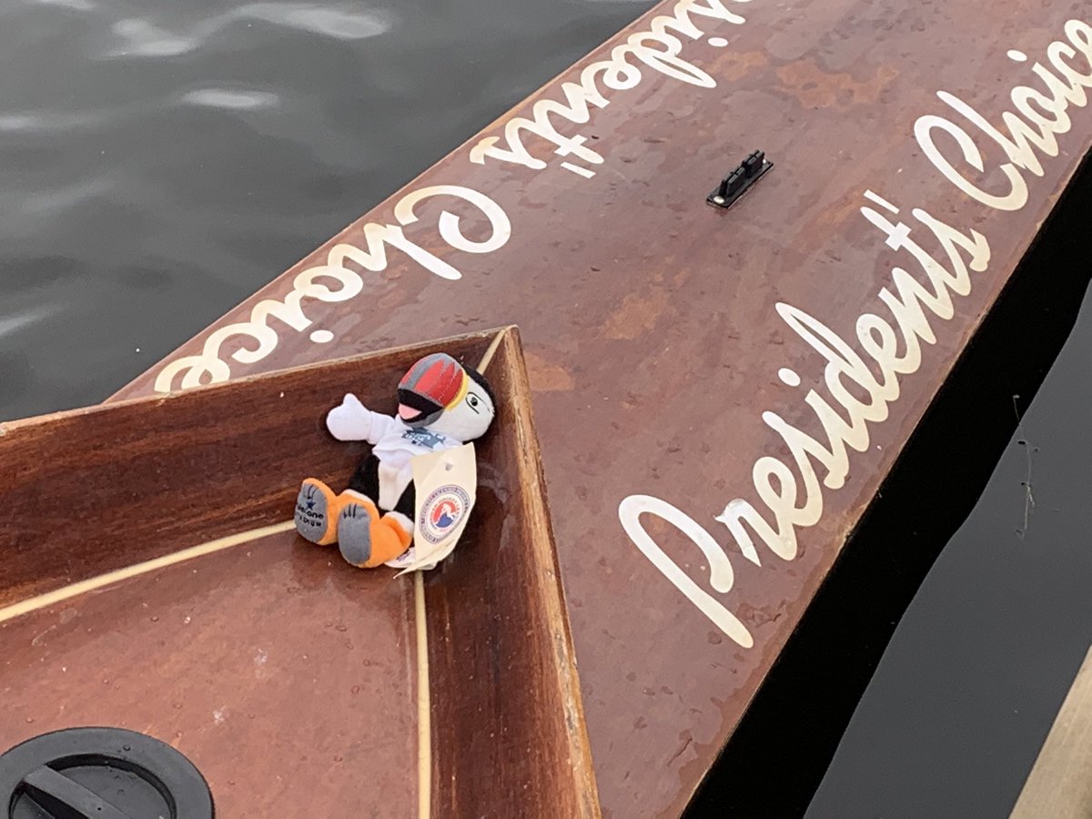 gerardfitznl's tweet photo. We took Buddy with us for our race on Regatta day! #ForAbbo https://t.co/3AfISx30w5