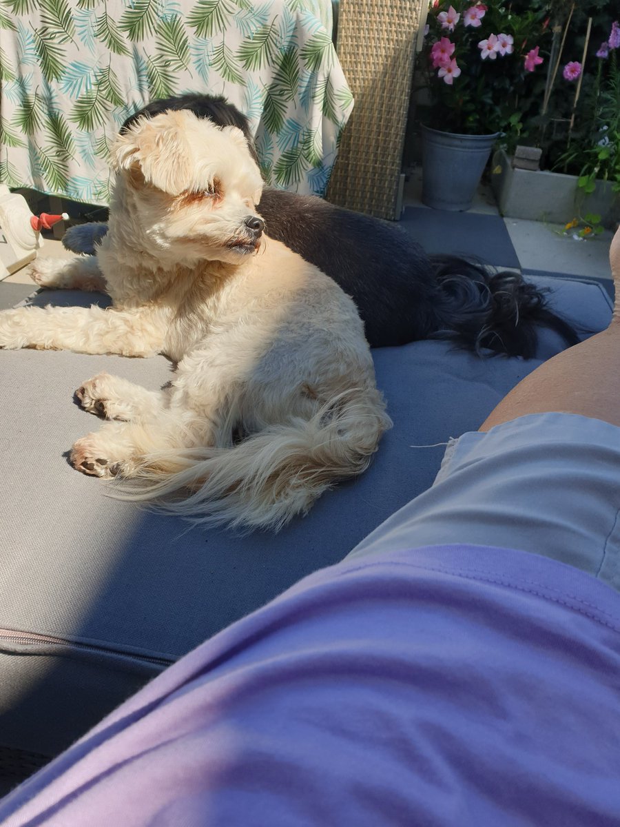 jolanda317's tweet photo. Zelf chronische ziekte en mantelzorgen, is zwaar mag wel zeggen heel zwaar. Echter ik doe het met liefde.
Nu ff #tuintweet #rustmoment https://t.co/WhPhDXAsfd