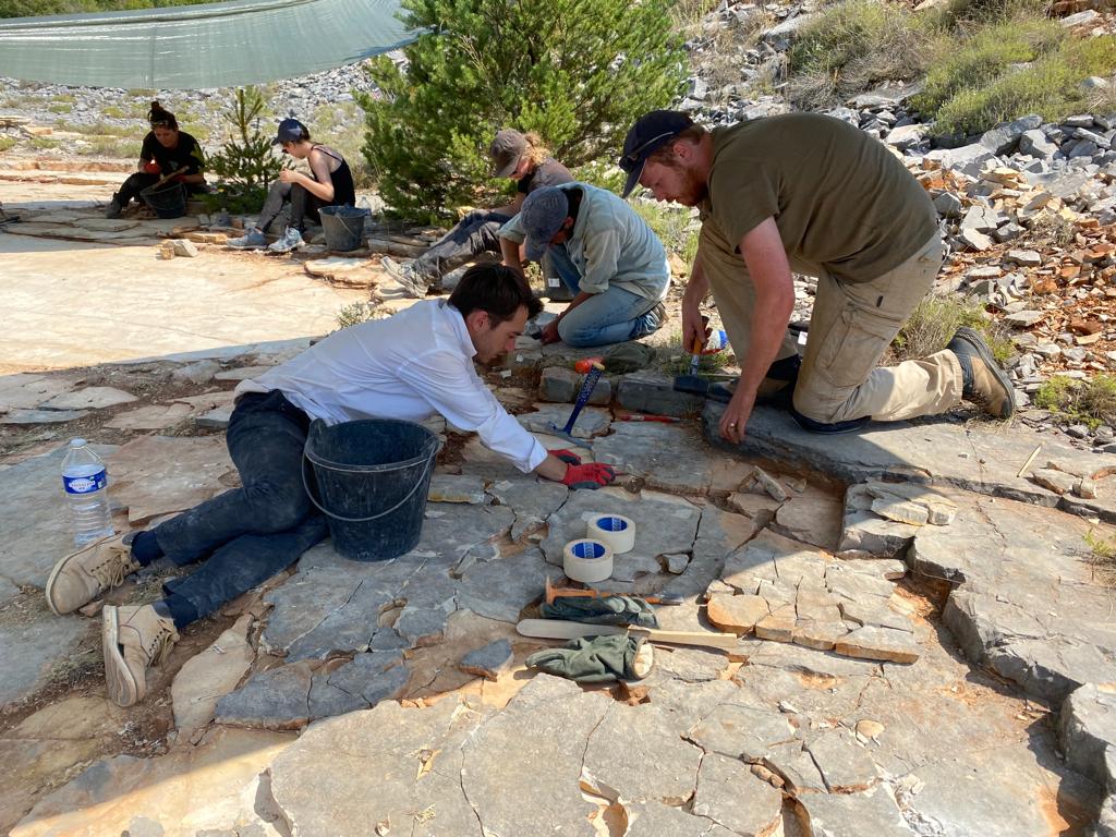 Première découverte de la campagne! Des empreintes de reptiles, probablement de rhynchocephale ou de tortue! Il s'agit de traces de nage vieilles de 150 millions d'années: les animaux prenaient appui sur le sol pour se propulser lorsqu'ils cherchaient de la nourriture.