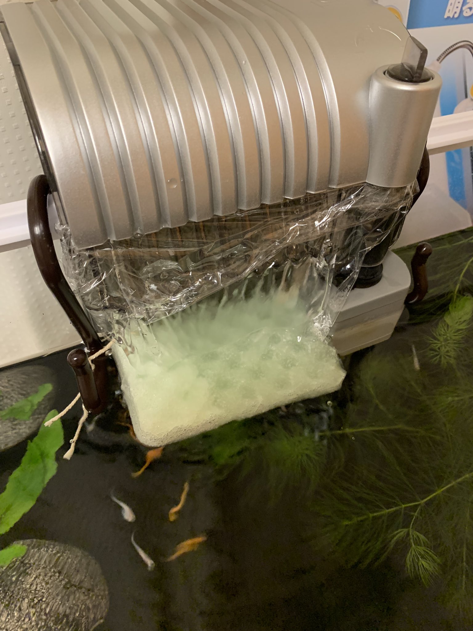 Yuri やっぱりフィルターあるところは水流強そう T Co 2exwg9gplr Twitter