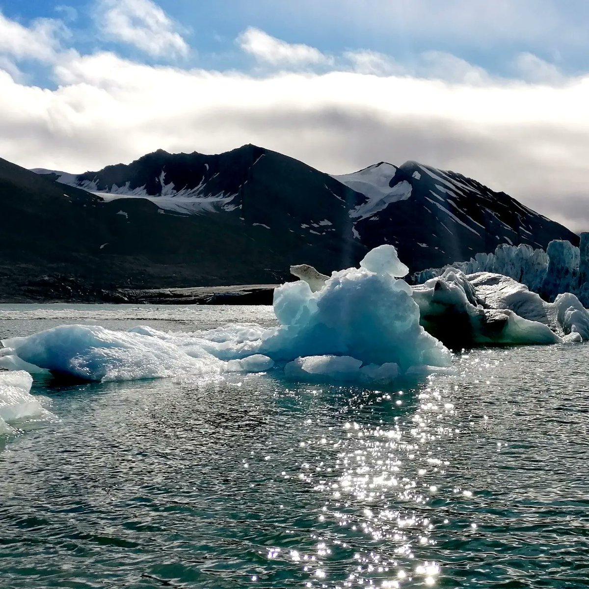 Baconated15's tweet photo. Out of all my photos from my recent arctic expedition, this raises the most questions.

Polar bear on ice? Bit of unexpected photo magic going on! https://t.co/rzPYciTKX1