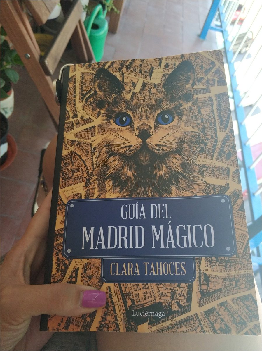 teacherandie's tweet photo. Summer, balcony, good temperature, cats, plants and a good reading, what else? #ILoveReading #SummerHolidays #LetsHaveSomeRest #EnjoyableTime #Books #Reading #MysteryAndMagic #Madrid https://t.co/uChjDso3L3