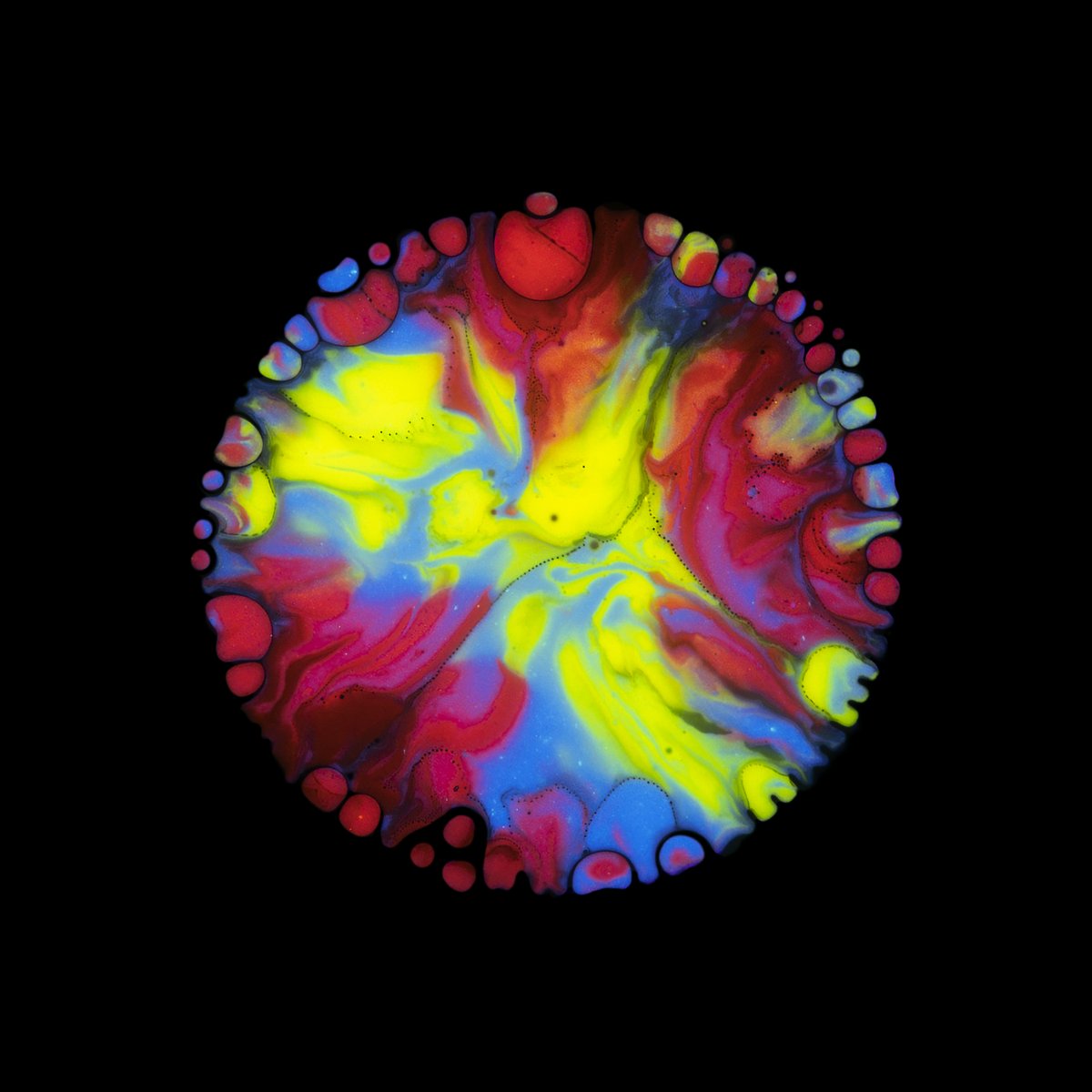 282 cells, 117 collectors, currently no cells listed for sale 🫣

It is incredible to see how much you value and love your cells. Thank you so very much for supporting <a href="/artofruben/">RUBEN ®</a> art and vision.

Have a wonderful Sunday everybody 💜