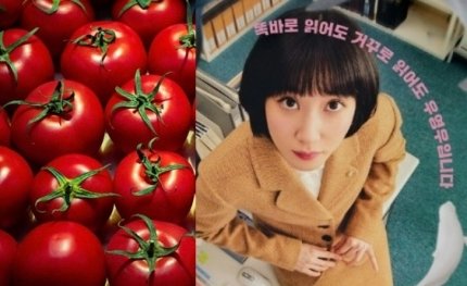 설레임 tweet media