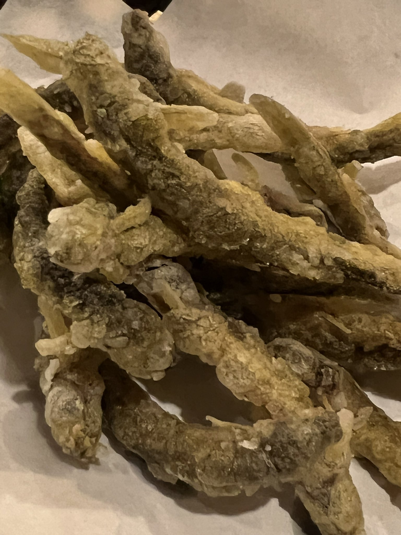 どじょうのからあげ Twitter Search Twitter