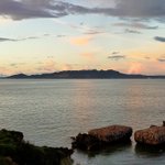 ツイートに含まれる画像