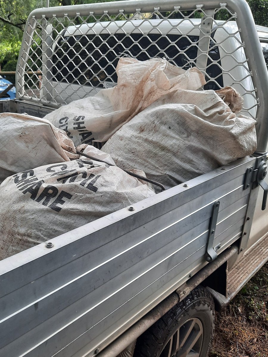 SoniaGrahamBuch's tweet photo. As #LandcareWeek draws to a close I want to thank the members of the 8 #NSWLandcare groups who are sharing their experiences with me for my DECRA. It is a genuine pleasure joining their working bees and eating plenty of cake!
@ACCESS_GEOG #LetsGoWeeding https://t.co/dZYoEEeoWL