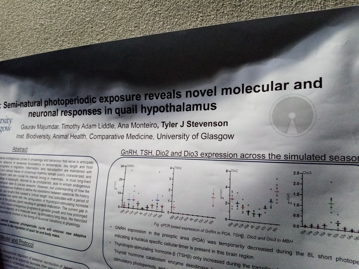 Laboratory of Seasonal Biology (@stevenson_lab) on Twitter photo Attendees of <a href="/INFneuroendo/">International Neuroendocrine Federation</a> #icn2022 come see Adam <a href="/TALiddle/">Adam Liddle</a> and Gaurav <a href="/DrGaurav007/">Gaurav majumdar</a> posters today! Numbers 59 and 12,respectively. Come learn about light effects on birds over in the dark section of the hall 😂 Attendees of <a href="/INFneuroendo/">International Neuroendocrine Federation</a> #icn2022 come see Adam <a href="/TALiddle/">Adam Liddle</a> and Gaurav <a href="/DrGaurav007/">Gaurav majumdar</a> posters today! Numbers 59 and 12,respectively. Come learn about light effects on birds over in the dark section of the hall 😂
