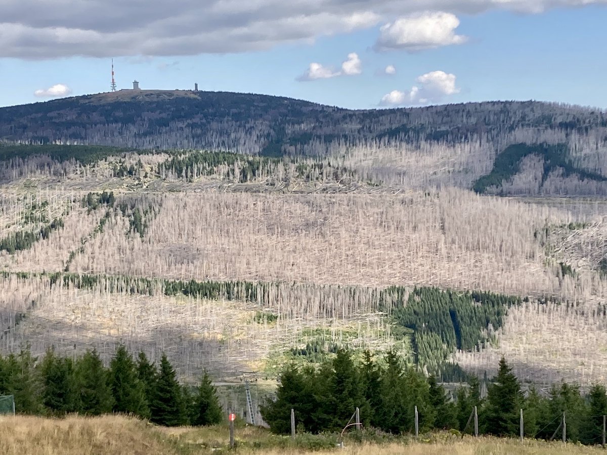 Ich nenne es: Zeitzeugnis 😢#brocken