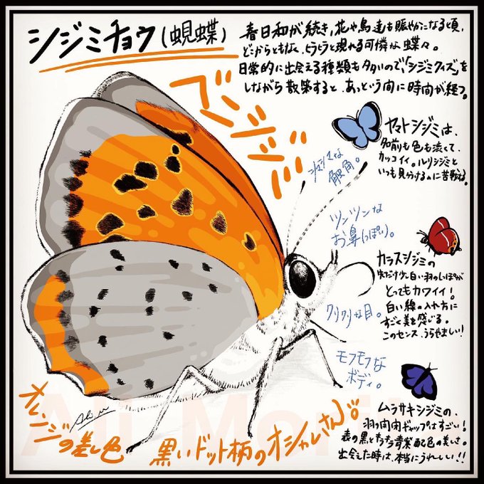 シジミチョウ のイラスト マンガ作品 件 Twoucan