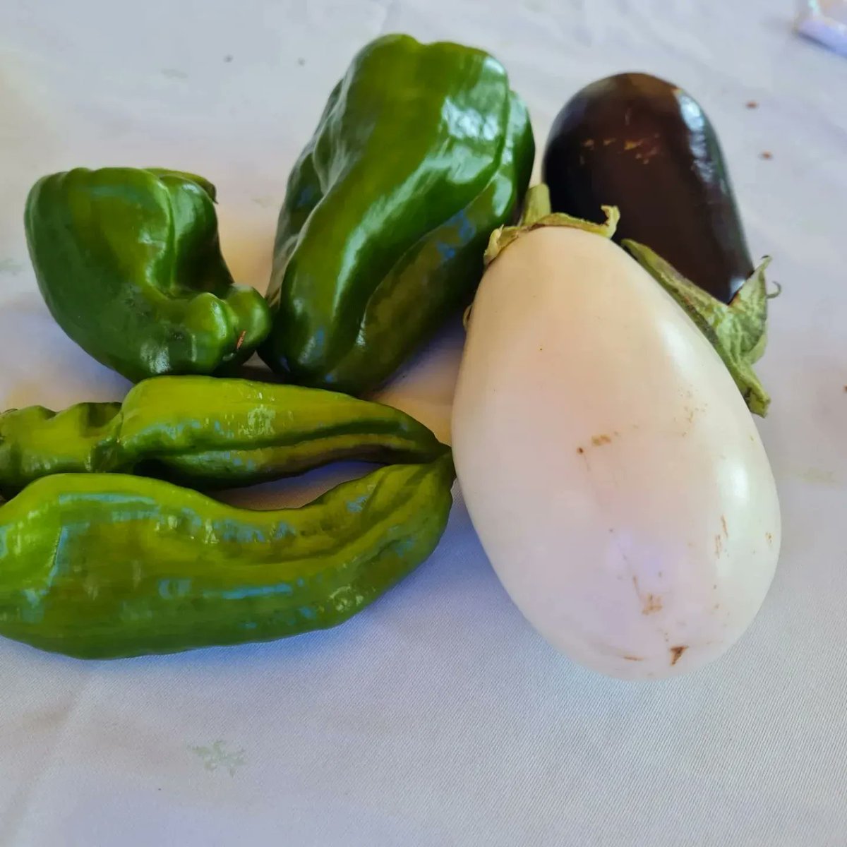 reccapolis's tweet image. El nostre petit hort dona fruits. Fa ilusió i tot. On sinó #reccapolis👨‍🍳👩‍🍳👩‍🎓🐶🔝🔝🔝 #ripoll❤❤❤ #femelquemengeu