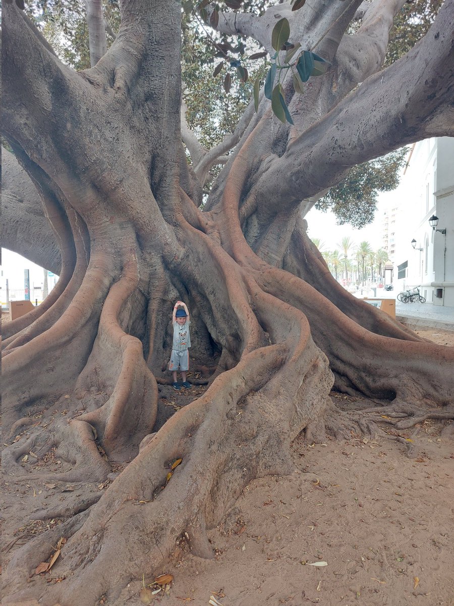 Michelle Lewins RN BSc (Hons) tweet media