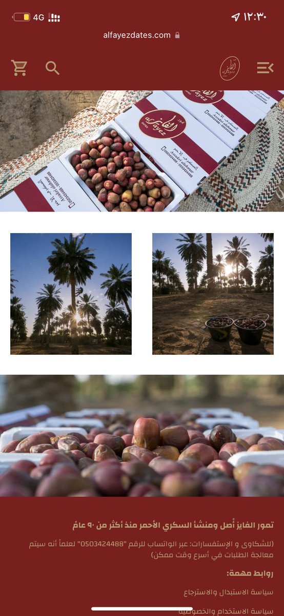 alfayez_dates's tweet photo. عملائنا الكِرام، نسعد بإخباركم بأن الخراف لِسكرية الفايز الحمراء بدأ، وكما نعلمكم أيضاً أنه تم و بحمد الله إفتتاح متجرنا الإلكتروني و يمكنكم الطلب و الإستفسار عن كل المعلومات في المتجر، رابط المتجر الإلكتروني👇                      https://t.co/jJwhw8kqPb https://t.co/aLFHX6LIv8