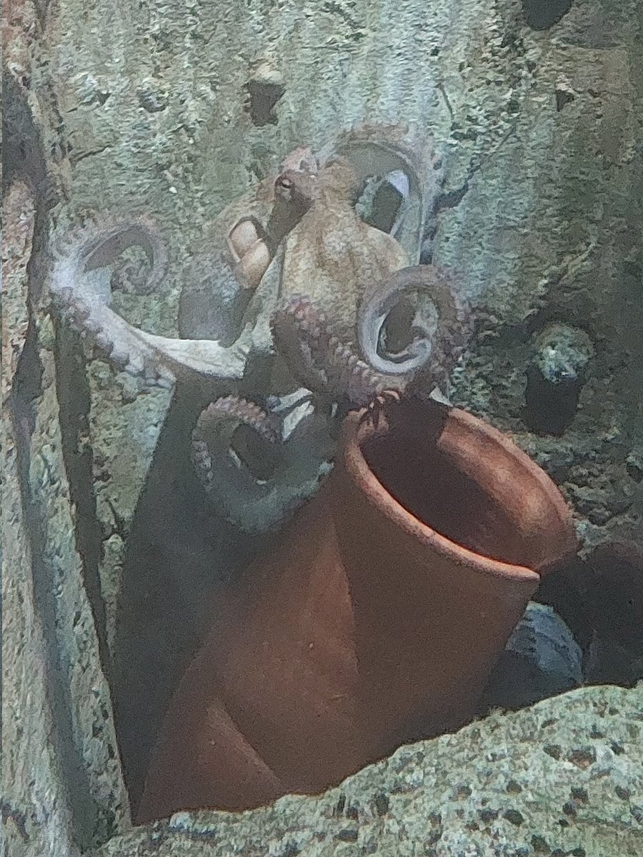 Michelle Lewins RN BSc (Hons) tweet media