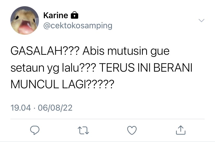 lea ౨ৎ tweet media