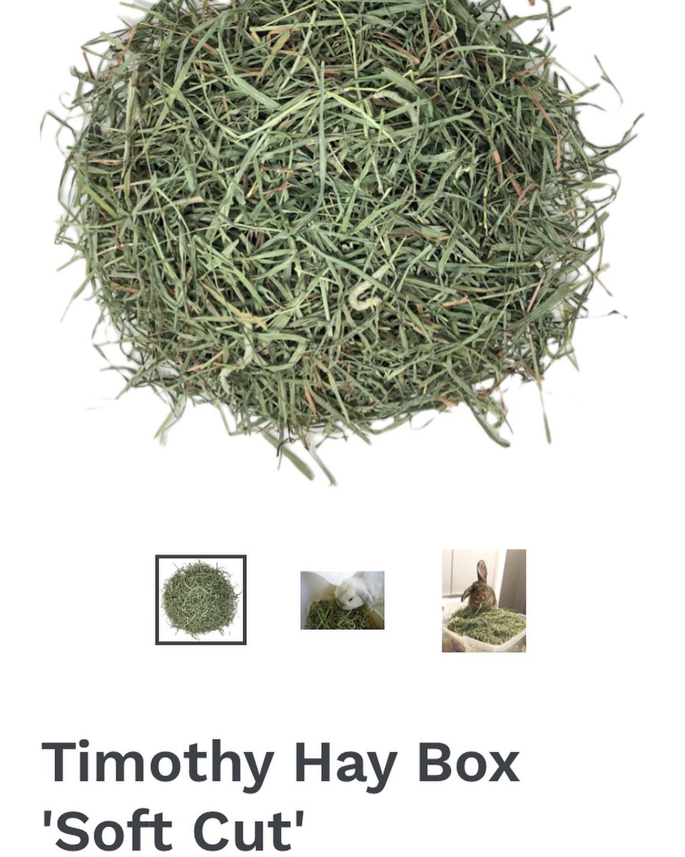 LadyChessington's tweet photo. I thought this is worth a shout out. Sarah at #SqueakDreams on Instagram did a video on her YouTube and mentioned she has a 10% discount referral code for haybox….
#GuineaPigs #Hay #TimothyHay #Haybox #ReferralCode #SqueakDreams https://t.co/yjMPj1LXm2