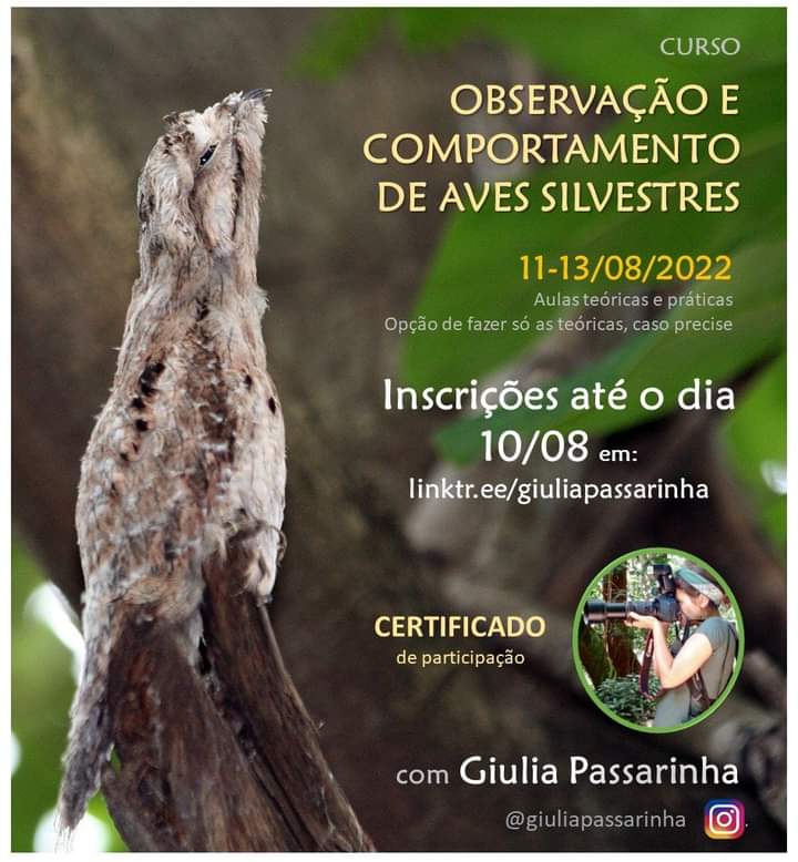 Inscrições do curso só até o dia 10/08!!! Não fique de fora!

Venha mudar o seu olhar sobre a natureza, aprendendo sobre o mundo maravilhoso das aves silvestres!

Inscrições em: linktr.ee/giuliapassarin…

#observaçãodeaves #birdwatching #avessilvestres #comportamentoanimal