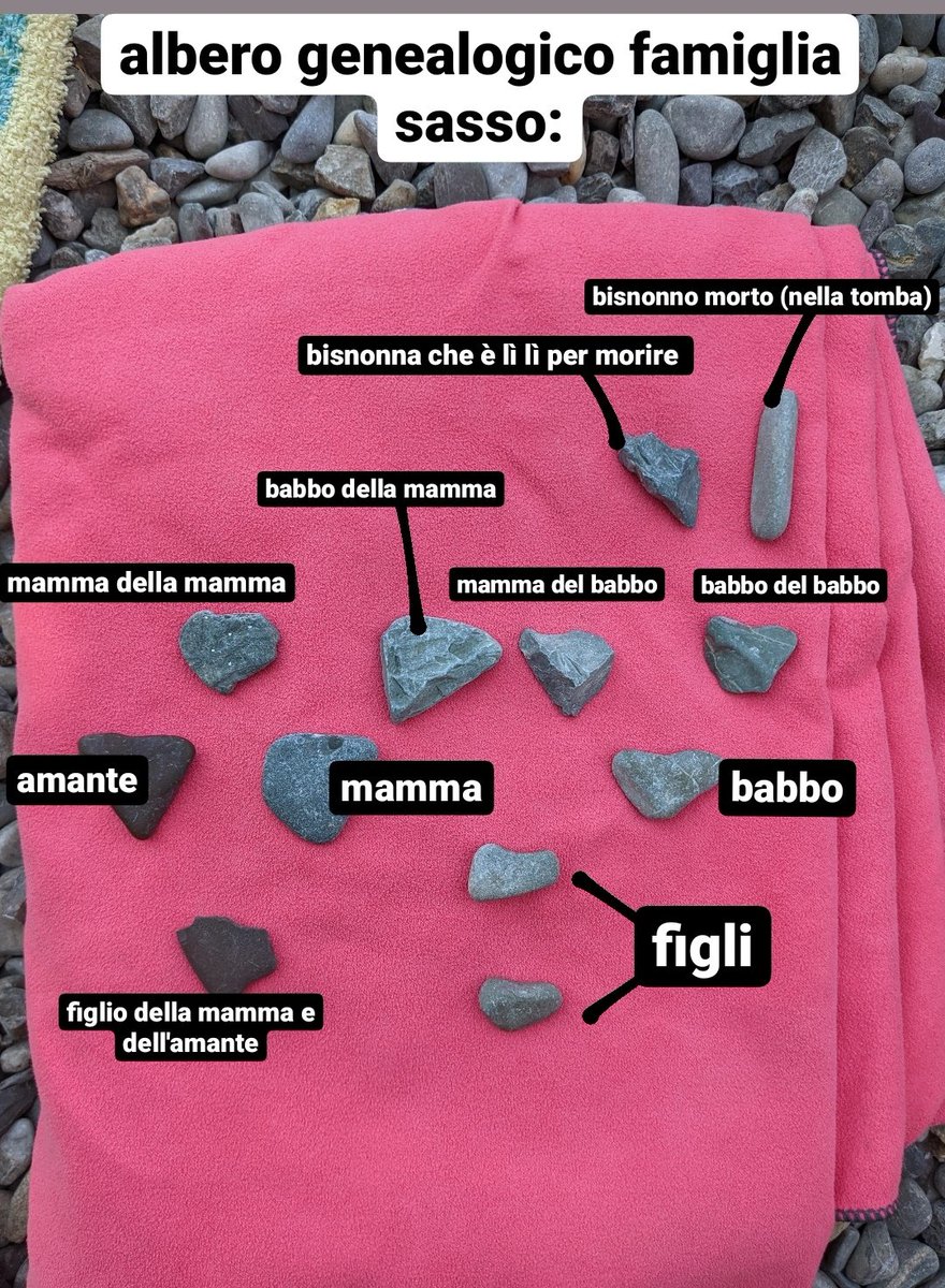 DiagSophie's tweet photo. la posto anche qua @giulia111_ #albero #sassi #pietre #famiglia #tradimento #nonsifa #poveromarito #poverogabbiano https://t.co/mBeSPGGQmR