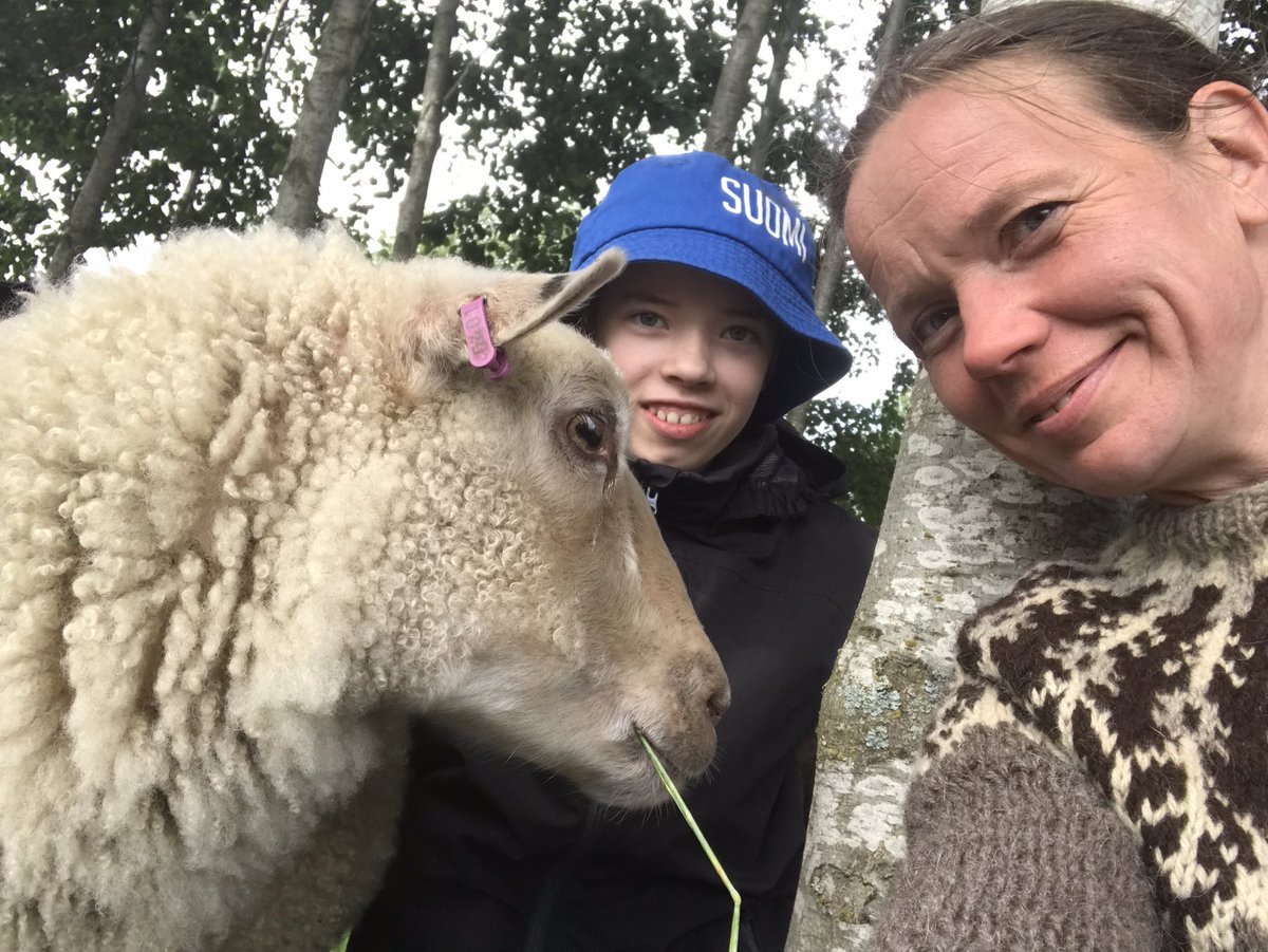 annejapojat's tweet photo. Avoimet puutarhat -päivä Pernaalla, viereisellä biotoopilla rapsutettavana meidän Santun lampaat. #biotooppi #vieraslajitorjunta #helmihanke https://t.co/IO0tejlJCQ
