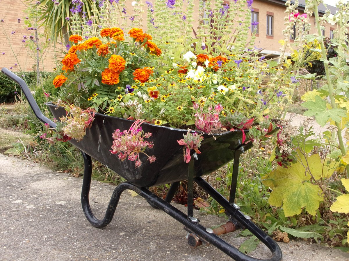 The Gardens team continue to look at ways of supporting wildlife and recycling equipment.