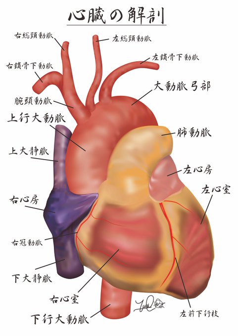 ハートのtwitterイラスト検索結果