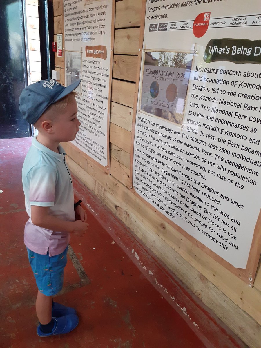 Discover_Ent's tweet photo. #reading #nativedragons @StMaryB17 #birminghamconservationpark #yr2L #lovetoread #mychildreads https://t.co/eTevzbRBIA