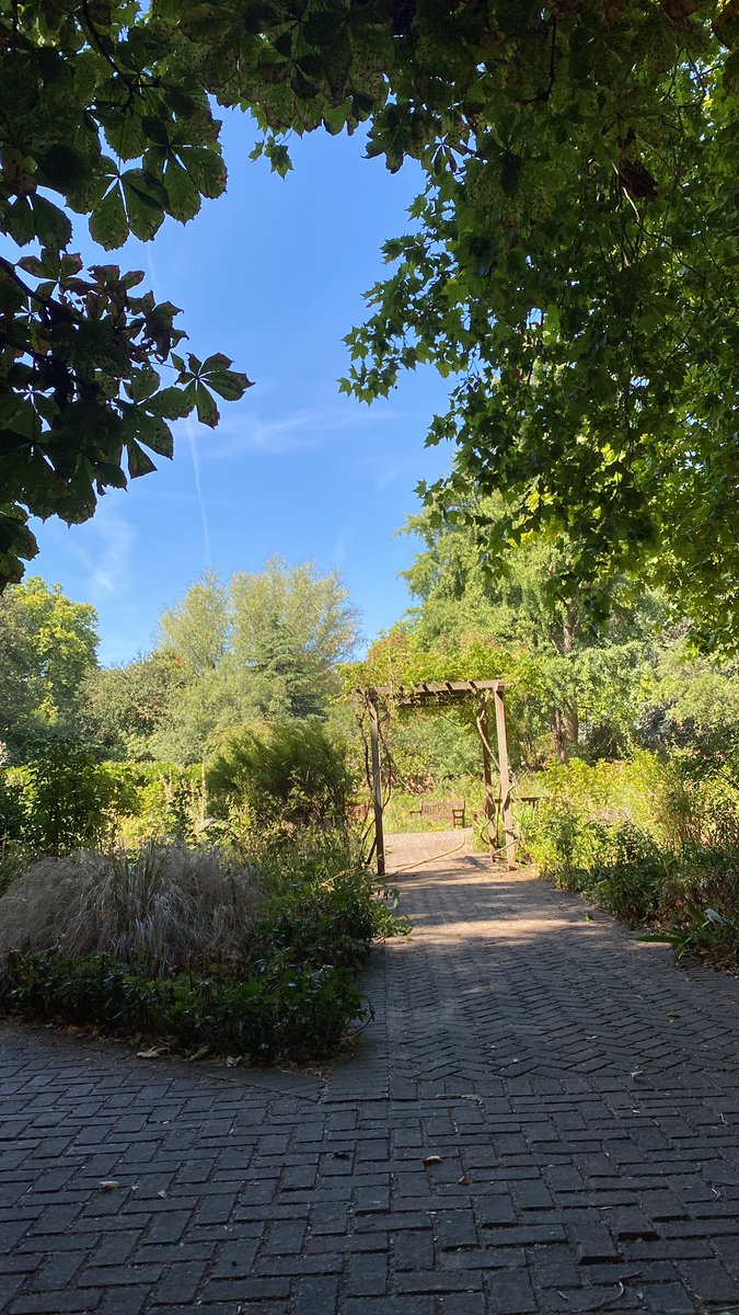 donpalushi's tweet photo. Nothing like London gardens in Summer. I love London until the last bit https://t.co/DKzP91qJkW
