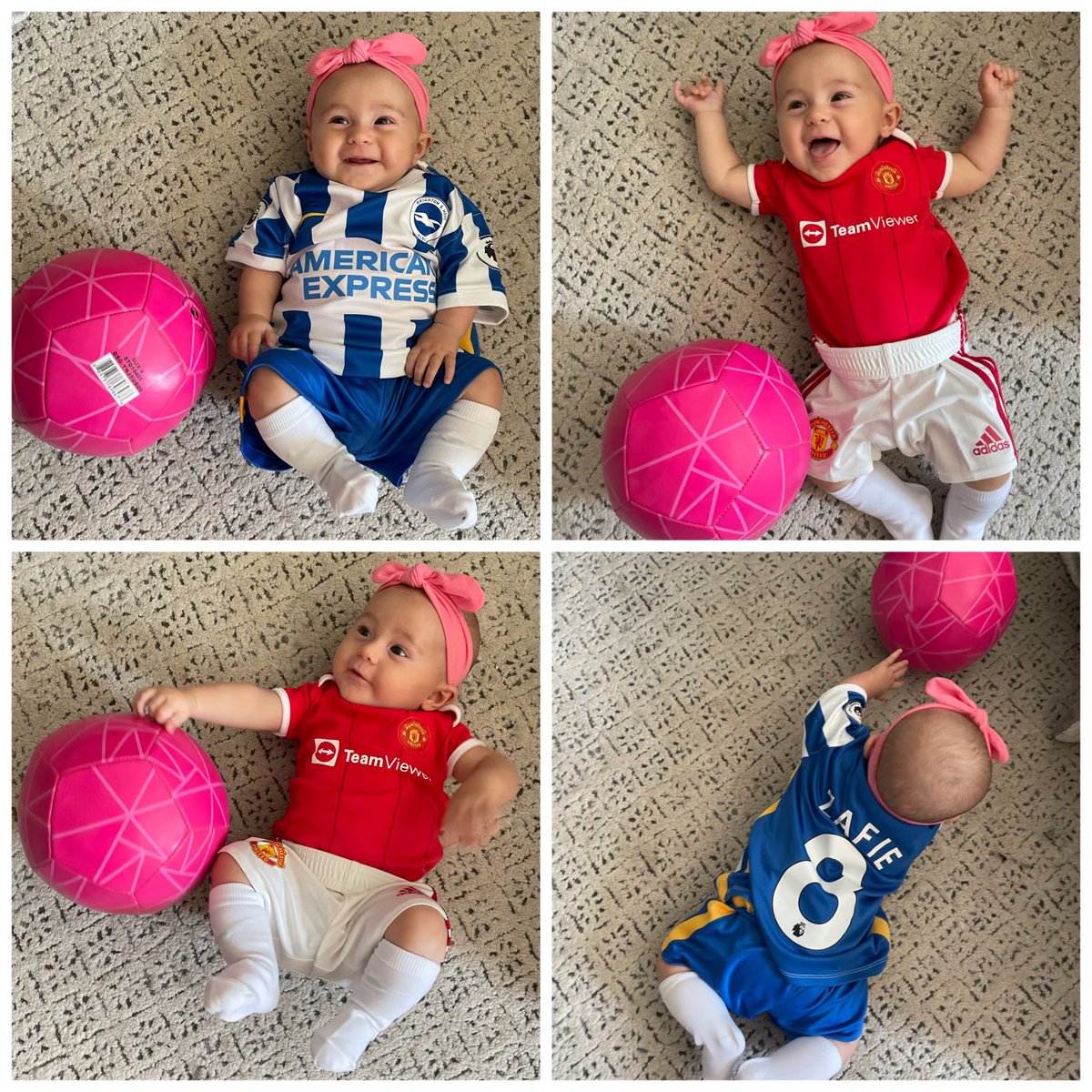 markuswright90's tweet photo. Someone is on the fence this morning ⚽️ #MyPLMornings @ManUtd @OfficialBHAFC https://t.co/ZoFXY0AuVT