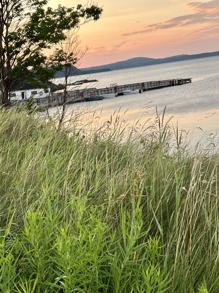 pinkti's tweet photo. Enjoying the sunsets https://t.co/4QwlgY4wSG