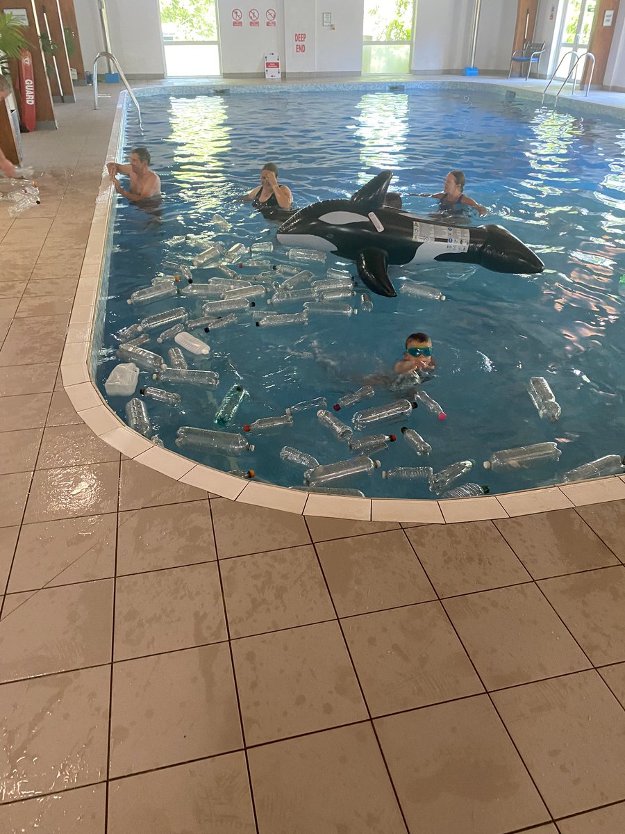 Maddie Traxton tweet media