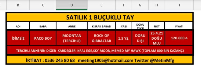 MetinMfg's tweet photo. #SatılıkTay Tercihli anne Moontan'ın #PacoBoy dan 1 buçuklu dişi tayı satılıktır irtibat 5362458068 #TercihliKısrakTayı annenin diğer yavruları  Kral Ege,Sky Moon,Memed my hawk @Filimosman https://t.co/ajGlDP8WuN