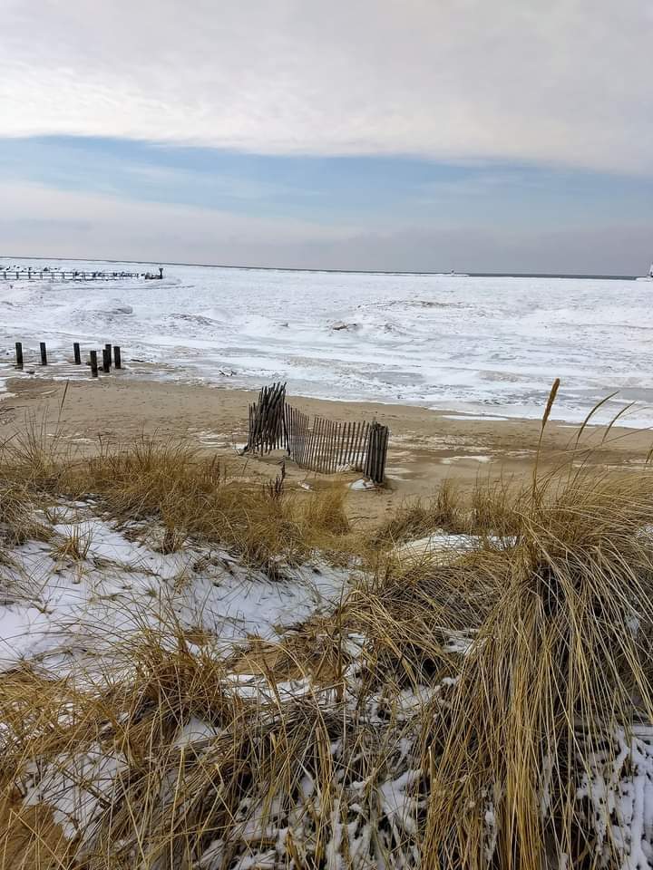 rosie_musser's tweet photo. Let's explore Ludington Michigan. โค
#rosiegirlphotography #NaturePhotography #Michigan #ludingtonmichigan @PureMichigan #beaches #michiganstateparks https://t.co/IRnX2jSxP6