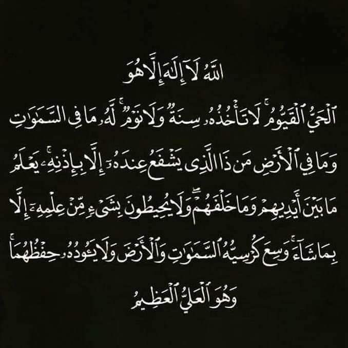 Mohamed (@mohamed77174578) on Twitter photo 