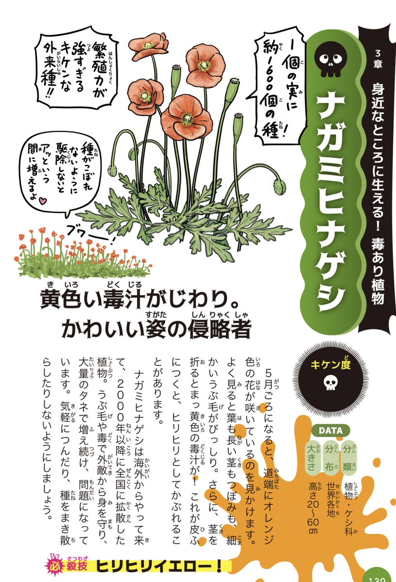 鎌倉殿 ちょっと待てー 阿野全成を偲ぶ みたいなノリで出てきたこの花 実は最近広まったやばいやつです Togetter