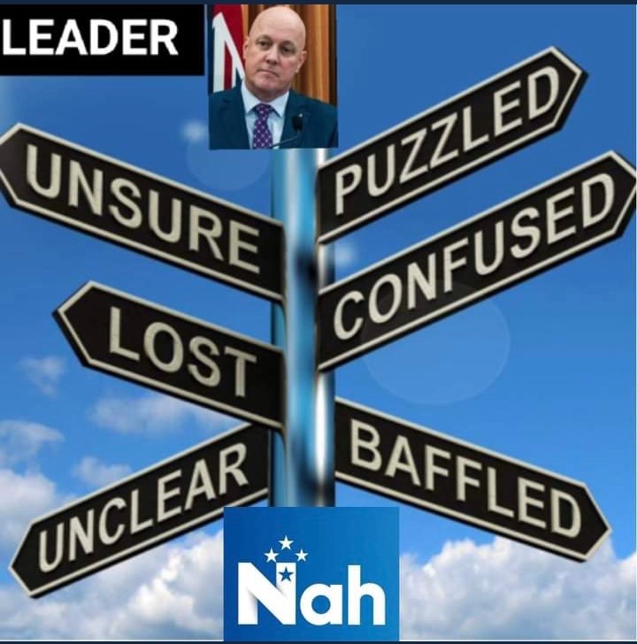 JeanMana's tweet photo. @voter_nz @Suzyiam @NewshubPolitics And this is the best the Nats have Got!!! 😂😂😂😂😂😂😂😂

#TePuke 🥝
#Shambolic 
#FlipFloppers
#NationalNotFitToGovern 🤡 https://t.co/ZJHDLoejbb