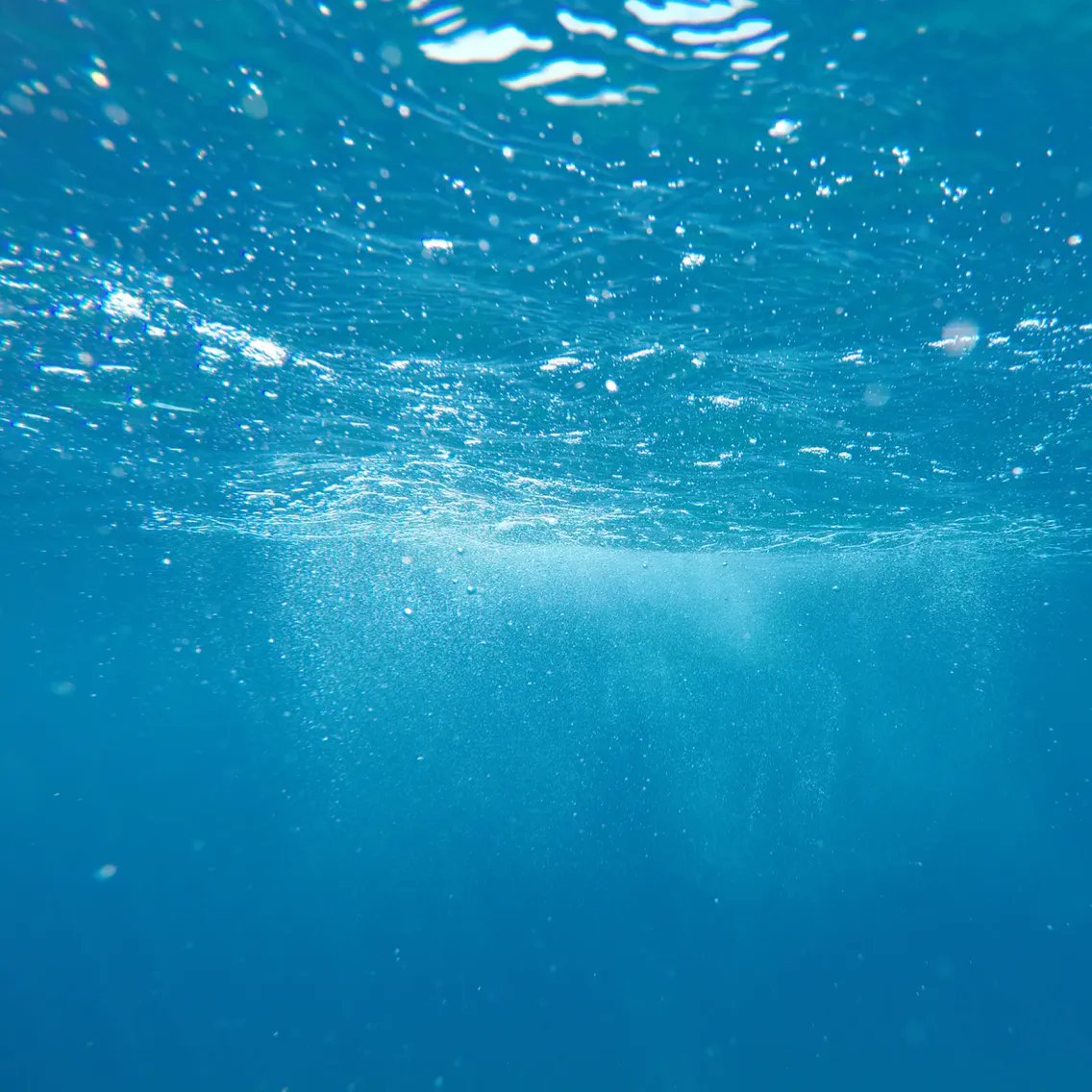 #MIT has developed a portable #desalination unit that turns seawater into #drinkingwater💧

The light, suitcase-sized device requires less power to operate than a cell phone charger &amp; can also be driven by a small, portable #solarpanel ☀️

Unsplash photo
buff.ly/3SkNlqQ