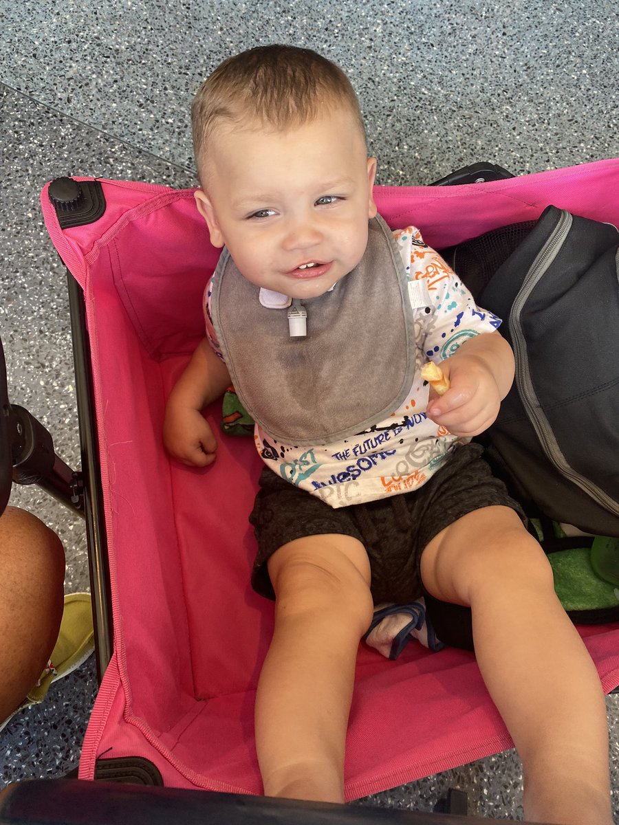 mandiekins29's tweet photo. This is how you ride around in the French Quarter, kicked back eating snacks! #NOLA #FRENCHMARKET #spoiled #honeysman #teamCarter https://t.co/Oug89ZREjX