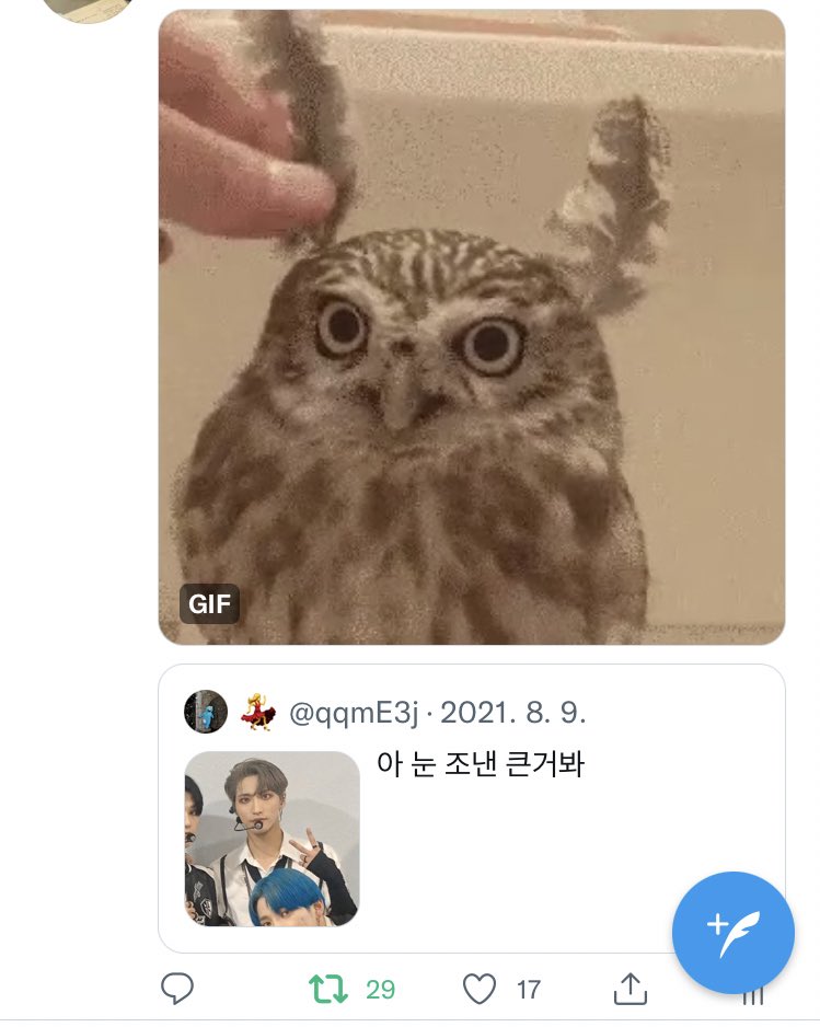 howtoS2likeyou's tweet photo. 떵빼미를 뽑아주새요 https://t.co/FlWh5COSOF