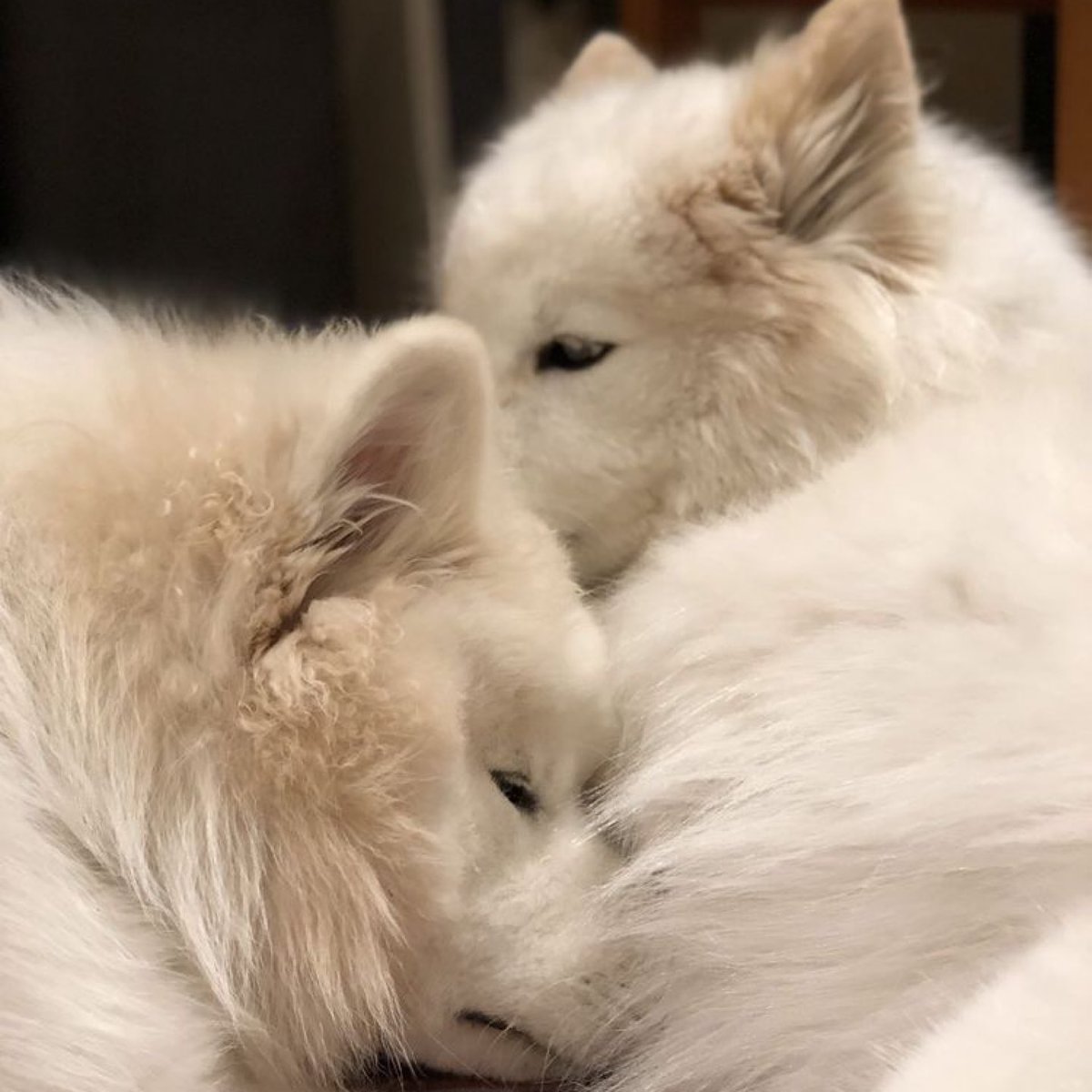 #TOMORROW_X_TOGETHER 
#SOOBIN #BEOMGYU #TXT