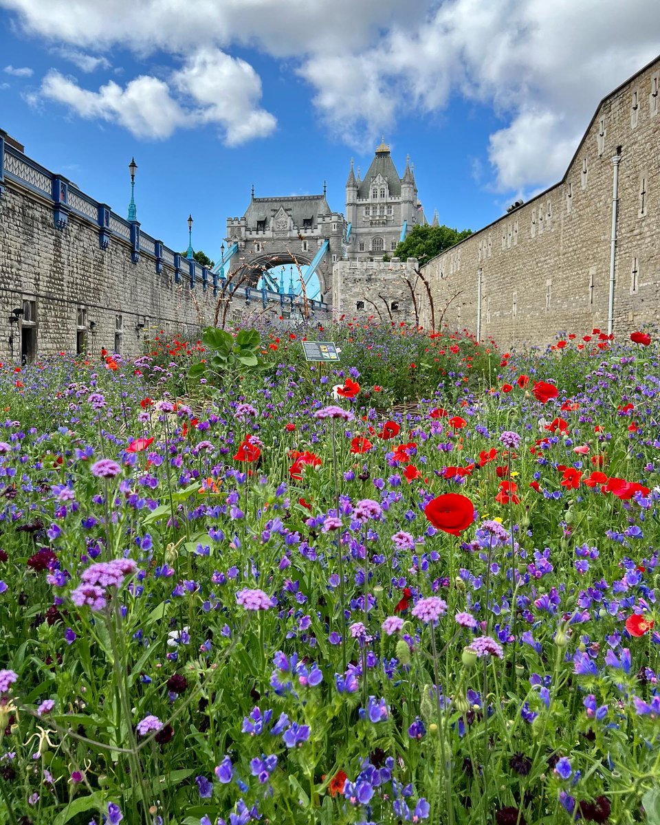 Visit London tweet media