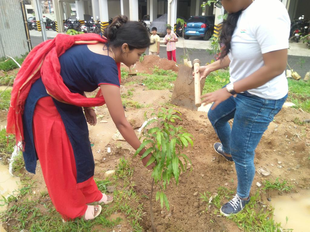 Save Green 🇮🇳 tweet media
