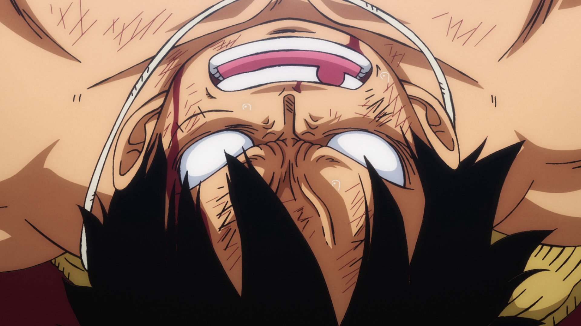 ANIMATION OF ONE PIECE on Twitter "ワンピース 第1028 四皇を超えろ ルフィ反撃の鉄拳 Source