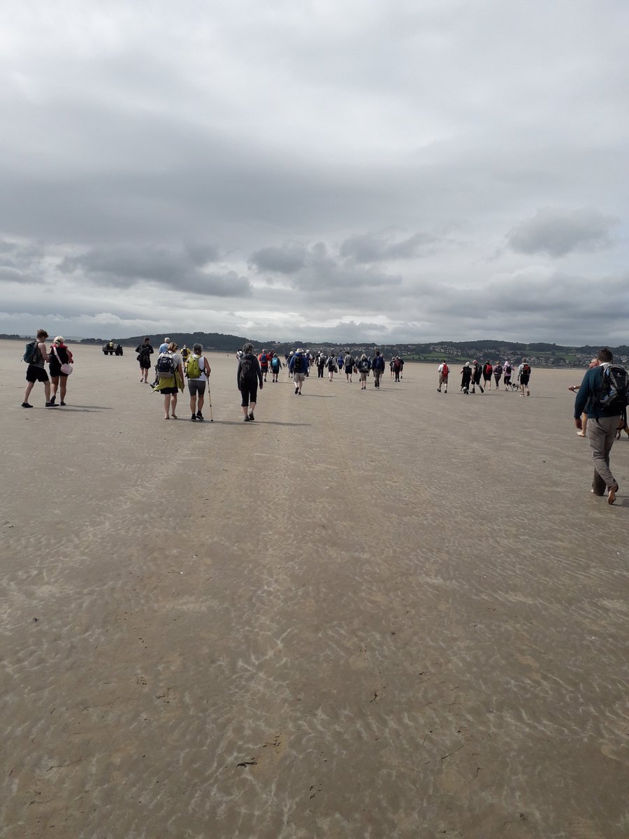 Alison J 💙 tweet media